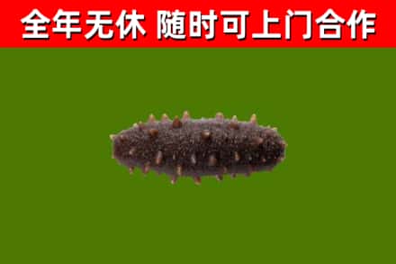 平凉市烟酒回收干海参.jpg